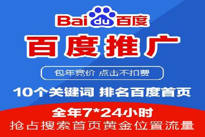 百度竞价排名实战：某电商平台的成功之路